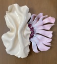 Mollusk 1 (sold)