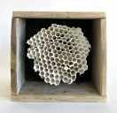 Stuff No.24